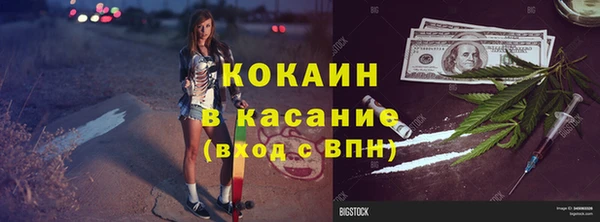 твердый Инсар