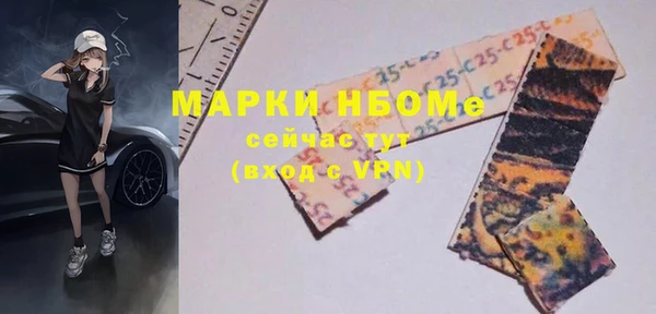 твердый Инсар