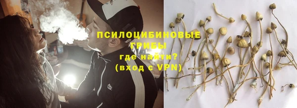 прущие крисы Иннополис