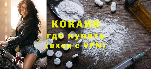 твердый Инсар