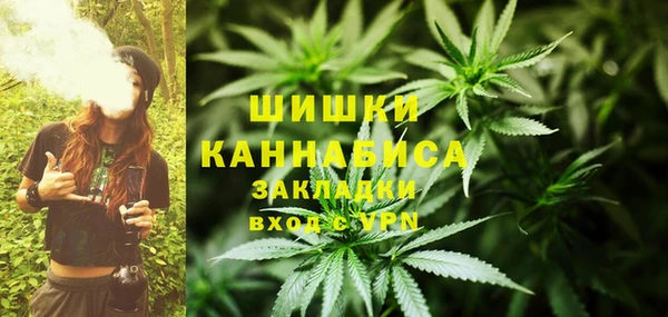 твердый Инсар