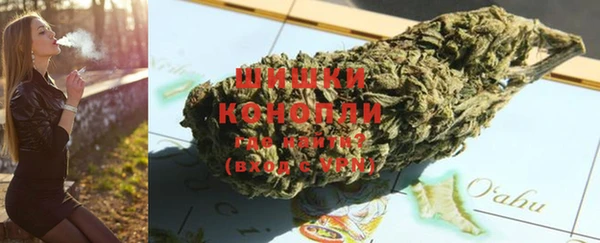 твердый Инсар
