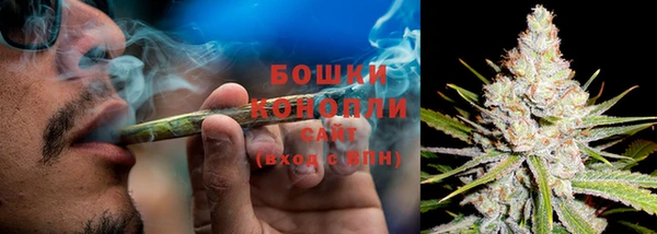 прущие крисы Иннополис
