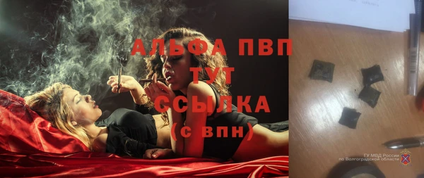твердый Инсар