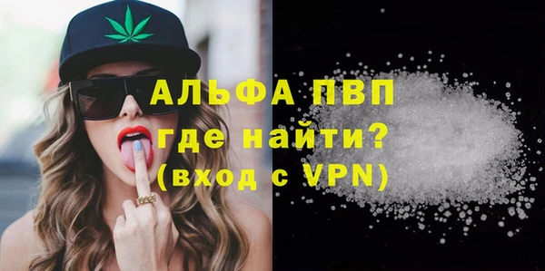 твердый Инсар