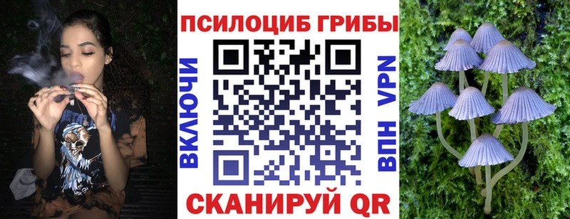 Псилоцибиновые грибы Cubensis  Купить  Ворсма 
