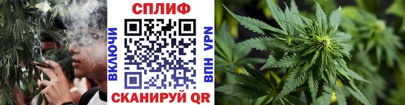 Каннабис конопля  Купить  Ворсма 